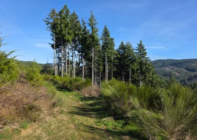 395b3b2f-f329-4561-b0e7-39bb64ca8345_resultat