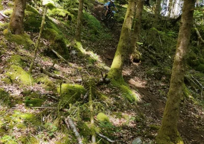 IMG_20250529_115906_resultat