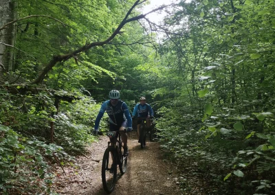 IMG_20250511_103819_resultat