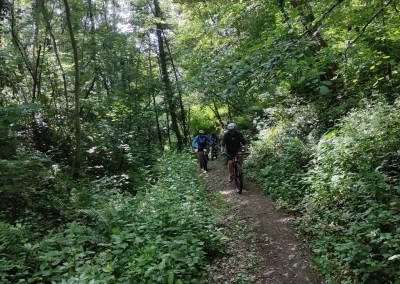 IMG_20250518_092224_resultat