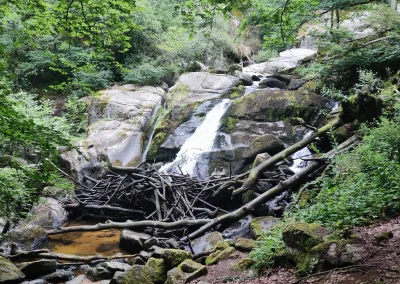 IMG_20250720_085917_resultat