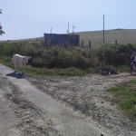 IMG_20250815_104910_resultat