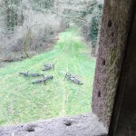 IMG_20260125_105517.jpg_resultat