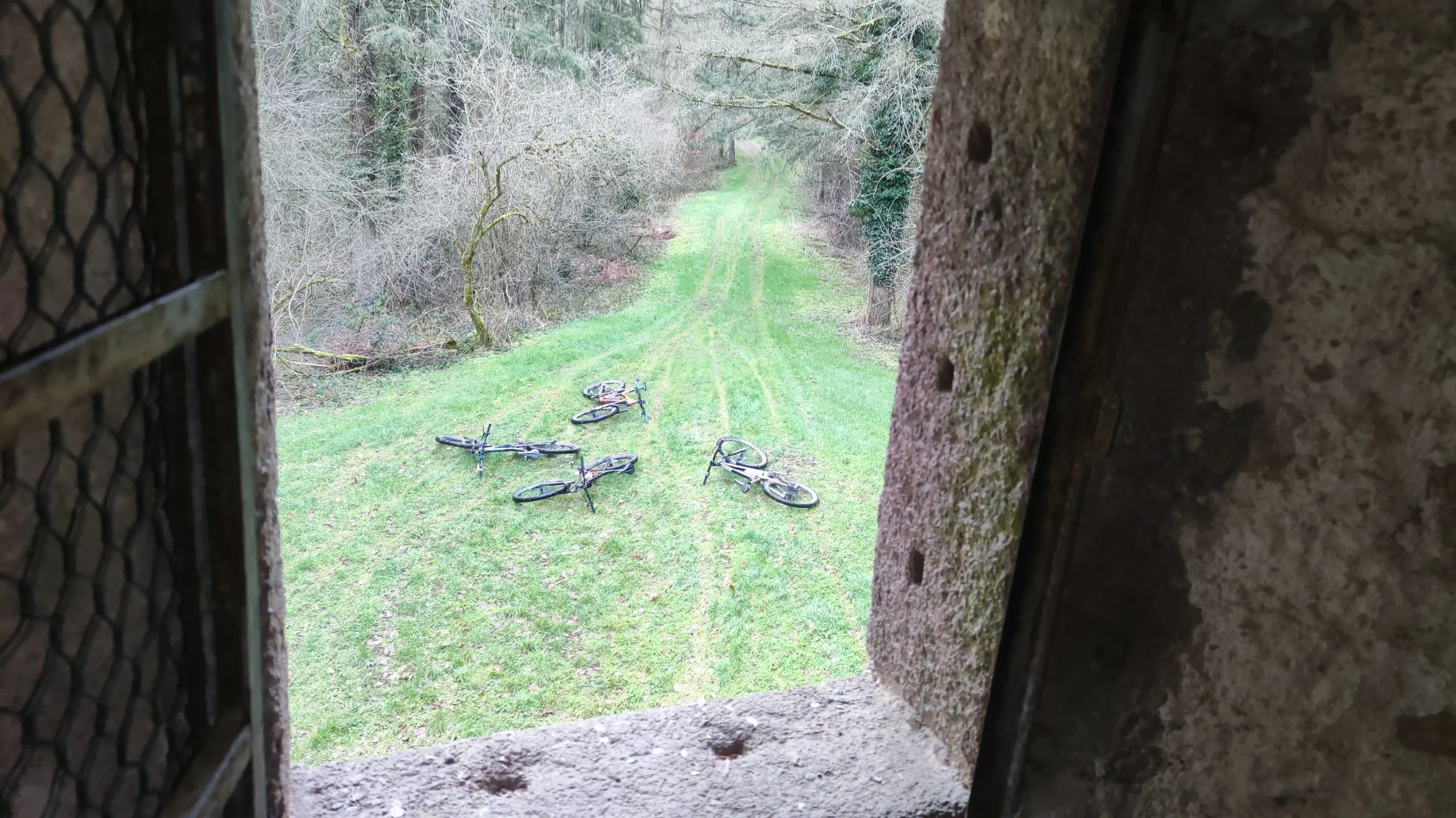 IMG_20260125_105517.jpg_resultat