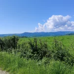 IMG_20260508_110327.jpg_resultat